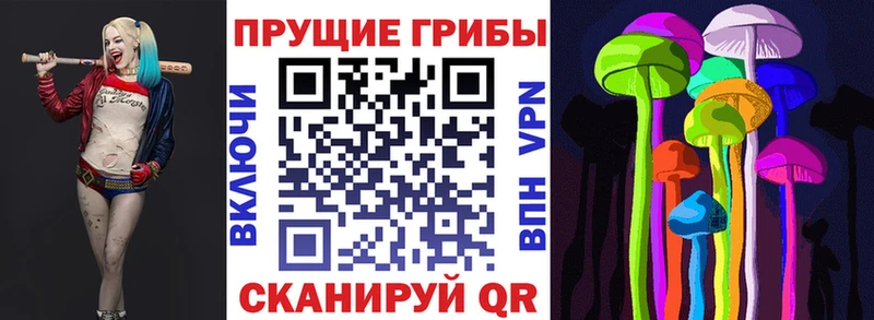 Галлюциногенные грибы Psilocybine cubensis купить наркоту Игарка